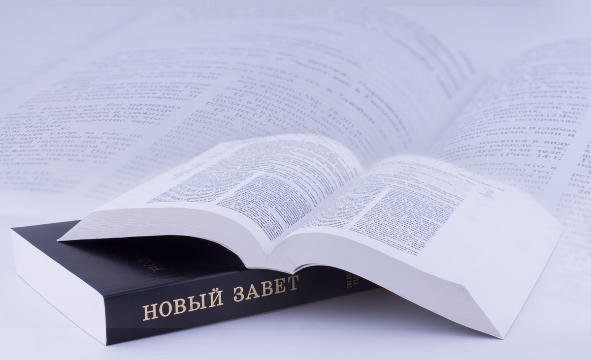 Книга: Библия Новый Завет